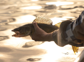 Rufus Lake Fishing